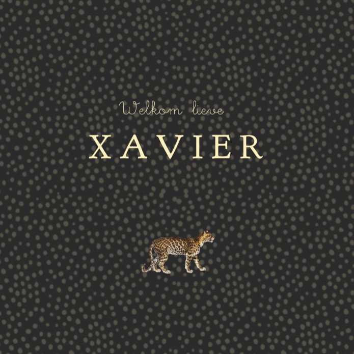 Geboortekaartje stipjes met panter