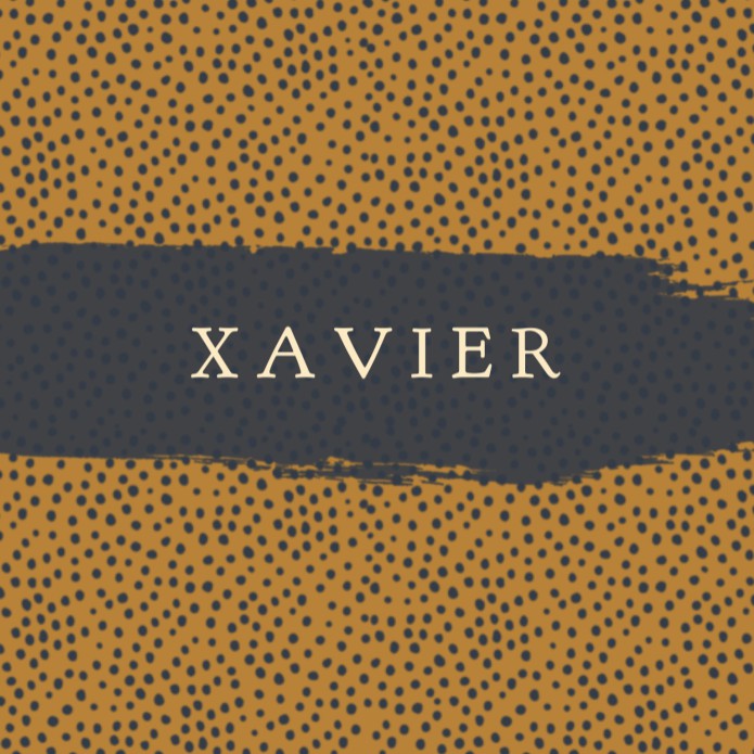 Geboortekaartje stipjes verfstreep hip