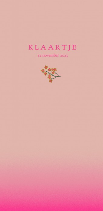 Geboortekaartje stoer met fel roze