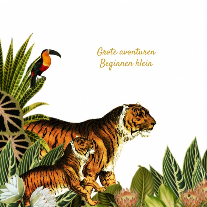 kaart binnenzijde links