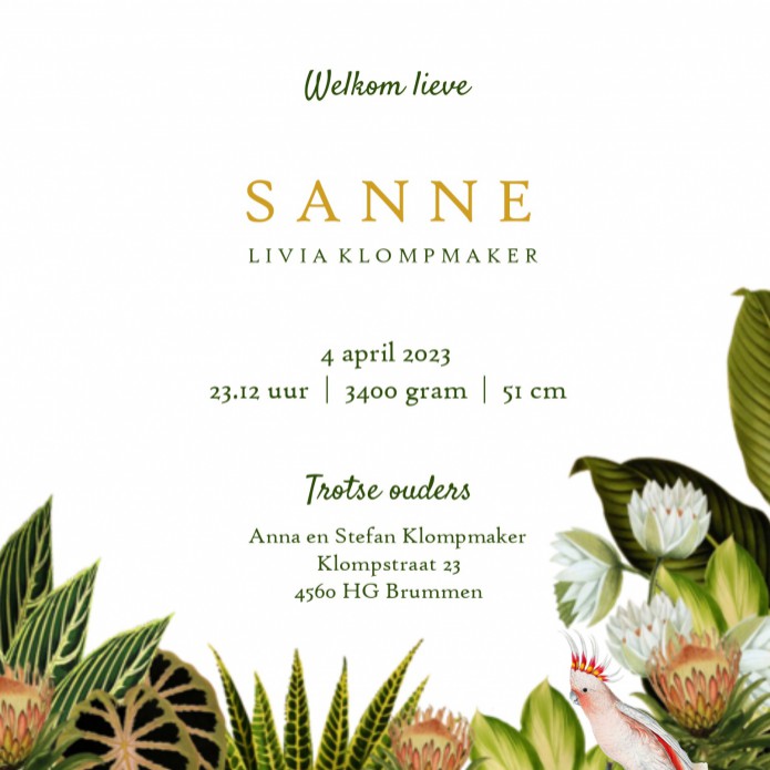 kaart binnenzijde rechts