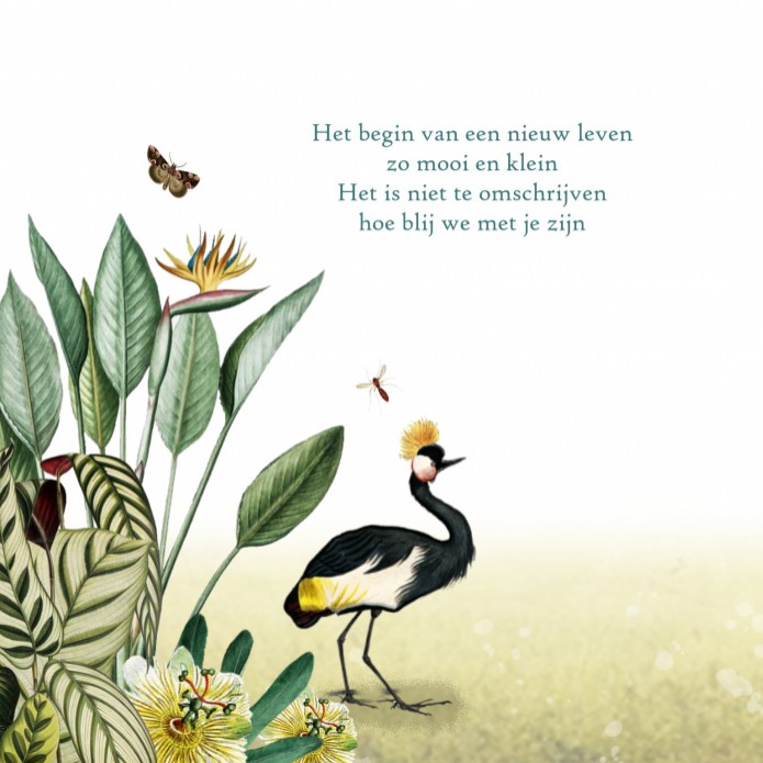 kaart binnenzijde links