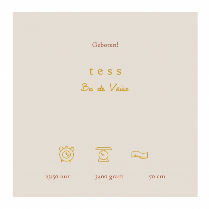 Geboortekaartje tros ballonnen met foliedruk. Geboortekaartje met foliedruk is héél stijlvol en chique. Het maakt jouw kaartje extra bijzonder voor jullie kindje. Er zijn verschillende soorten foliedruk om tussen te kiezen. Ga zelf aan de slag met jouw li