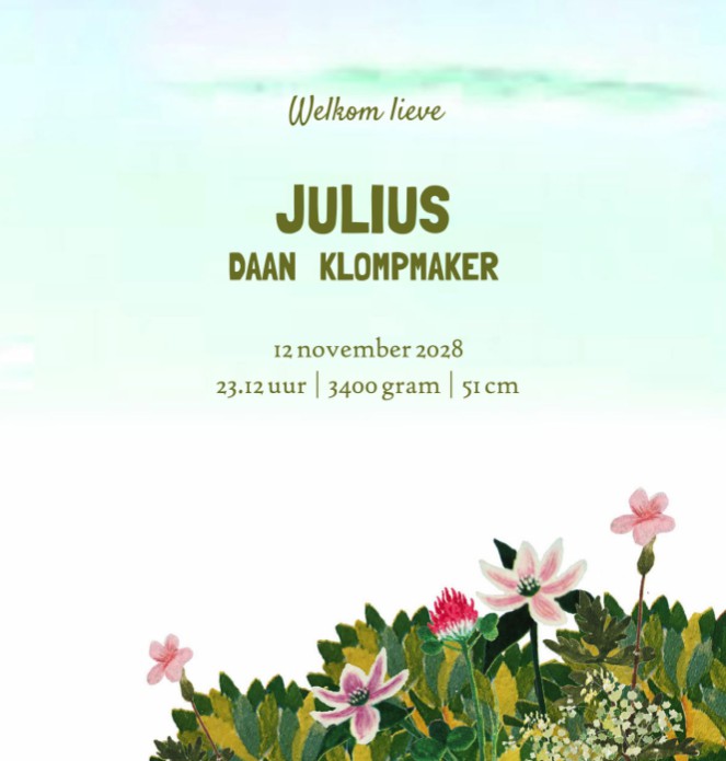 Romantisch retro geboortekaartje met twee broertjes waar je zelf nog elementen aan toe kunt voegen. Een illustratief geboortekaartje met een vintage knipoog. Vooral een heel schattig geboortekaartje die je gratis kunt bestellen om hem in het echt te bekij