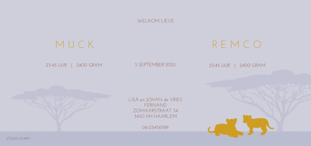 Geboortekaartje tweeling leeuwen met folie. Afrika Foliedruk geboortekaartjes zijn niet meer weg te denken. Ze geven jullie bijzondere geboortekaartje een chique uitstraling en eentje om voor altijd te bewaren. Bepaal zelf wat in foliedruk wil hebben, wij