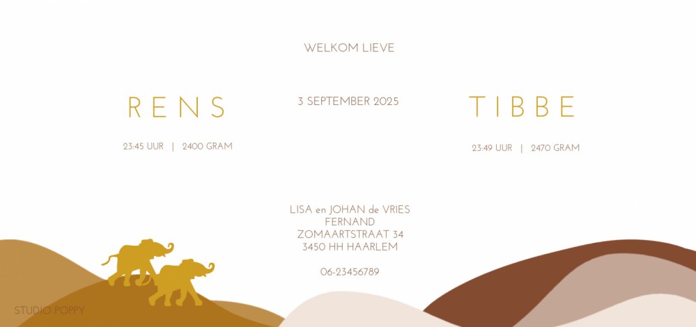 Geboortekaartje savanne Afrika olifant met foliedruk is héél stijlvol en chique. Het maakt jouw kaartje extra bijzonder voor jullie kindjes. Er zijn verschillende soorten foliedruk om tussen te kiezen. Ga zelf aan de slag met jouw lievelings lettertype en