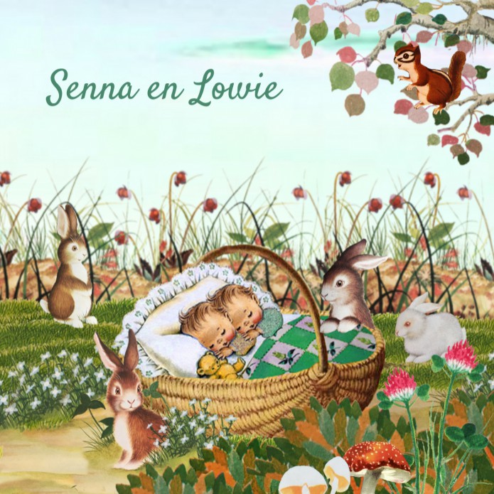 Geboortekaartje tweeling retro met baby in mandje