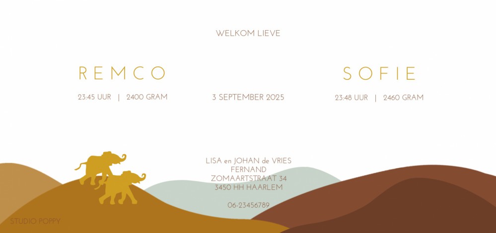 Geboortekaartje savanne Afrika olifant met foliedruk is héél stijlvol en chique. Het maakt jouw kaartje extra bijzonder voor jullie kindjes. Er zijn verschillende soorten foliedruk om tussen te kiezen. Ga zelf aan de slag met jouw lievelings lettertype en