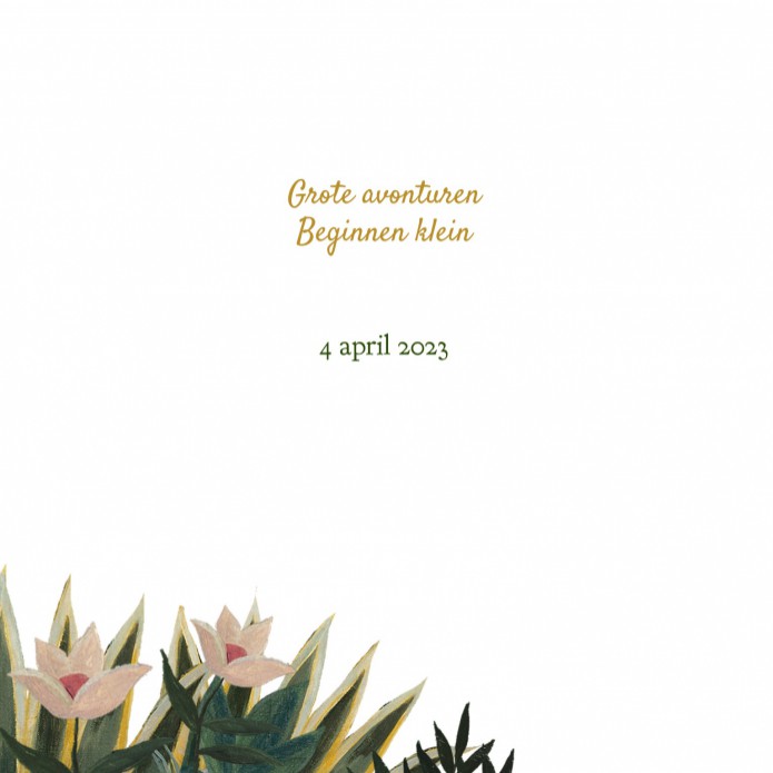 kaart binnenzijde links