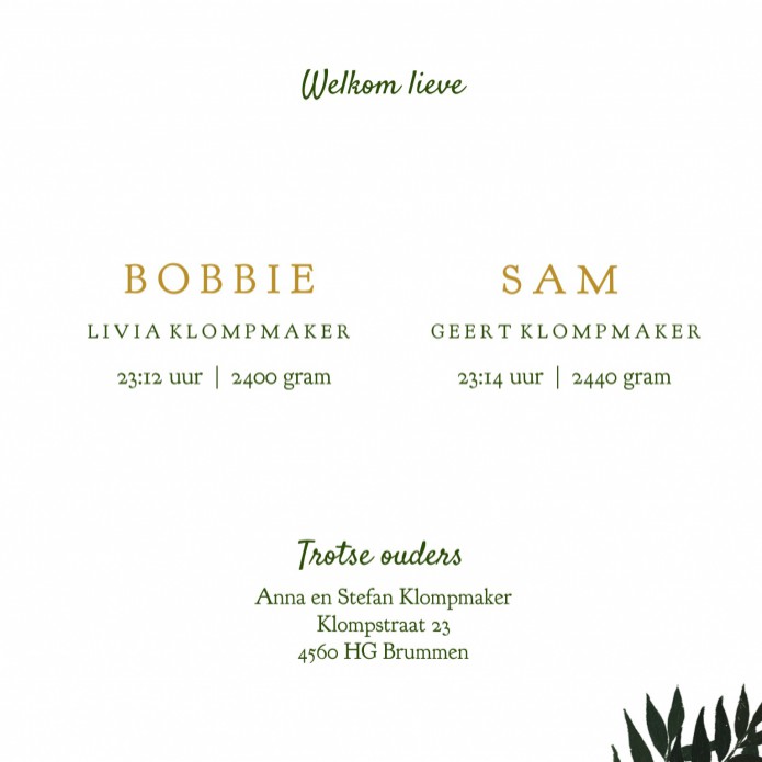 kaart binnenzijde rechts