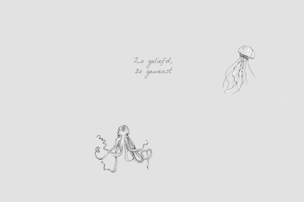 kaart binnenzijde links