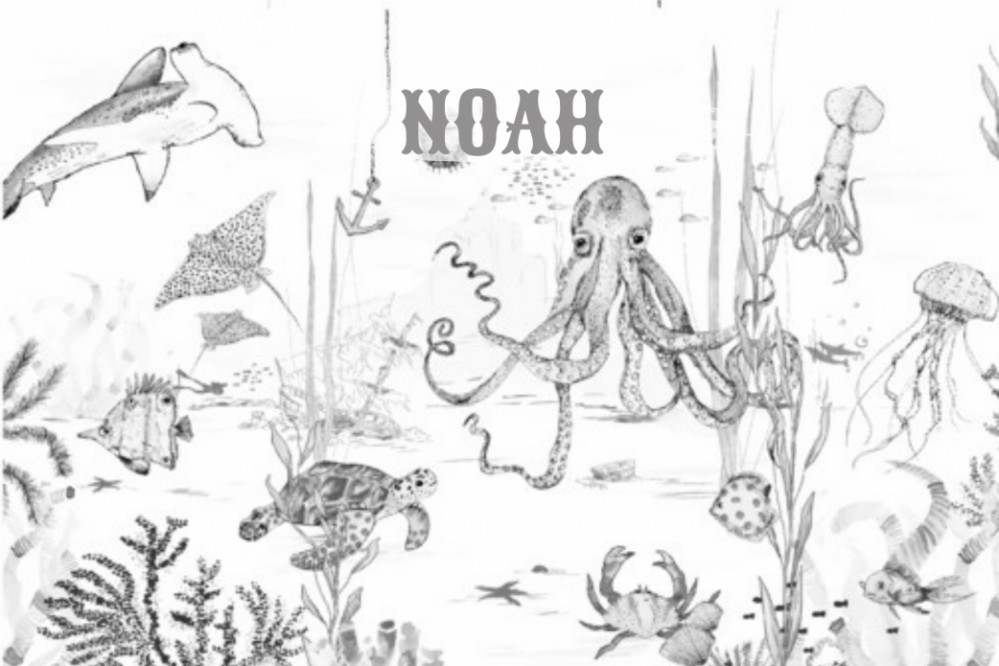 Geboortekaartje 'Underwater Wonders' van Annet Weelink Design