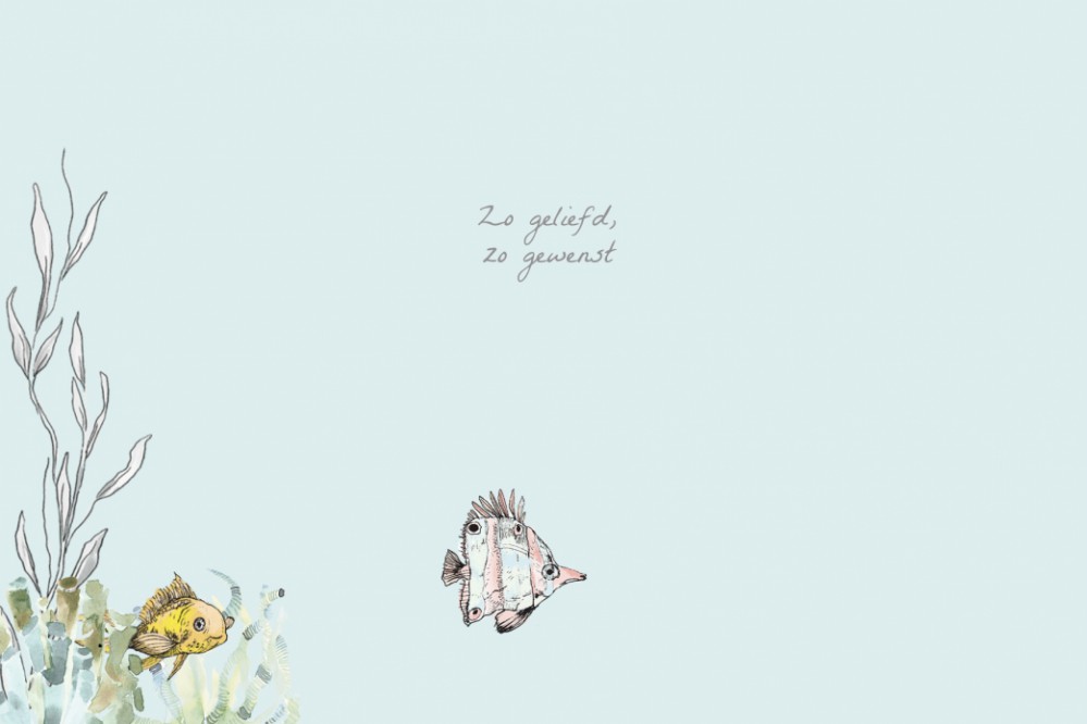 kaart binnenzijde links