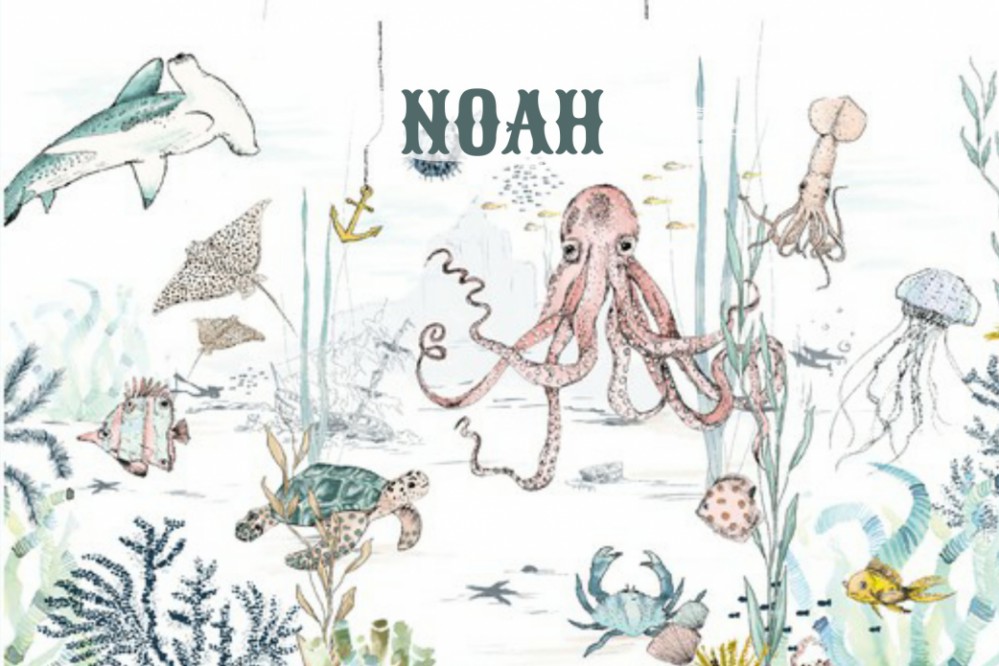 Geboortekaartje 'Underwater Wonders' van Annet Weelink Design