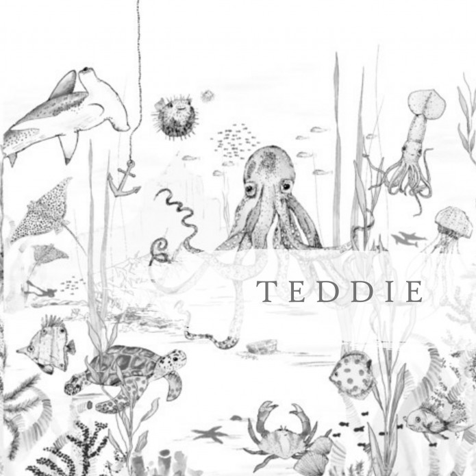 Geboortekaartje 'Underwater Wonders' van Annet Weelink Design