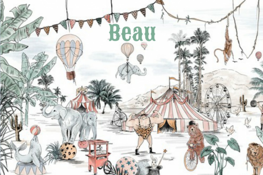 Geboortekaartje 'Cirque du Fantasy' van Annet Weelink Design