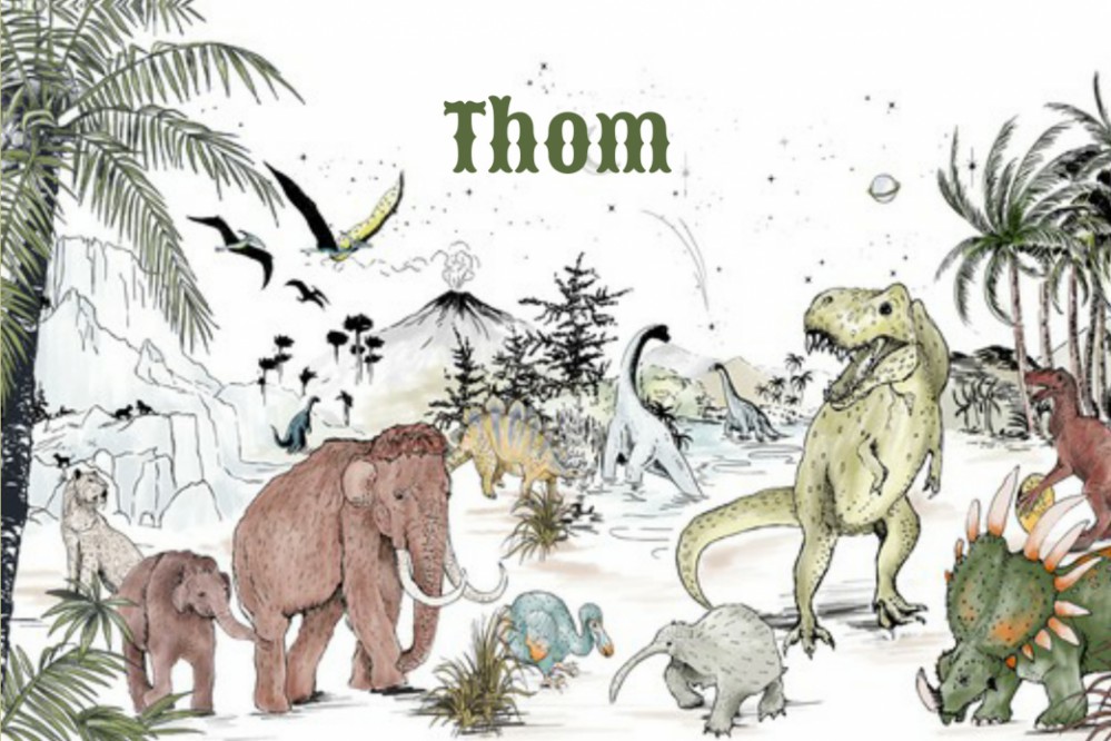 Geboortekaartje 'Prehistoric' van Annet Weelink Design