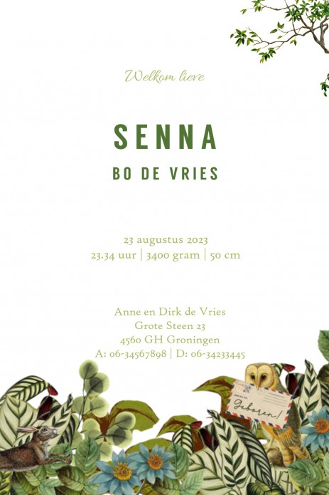 Geboortekaartje huis in het bos met bosdieren zoals herten, vos, uil en haas. Heel origineel illustratief geboortekaartje voor als je met unieks voor de dag wil komen. Met de designtool kun je zelf nog elementen toevoegen en veranderen. Een proefkaart kun