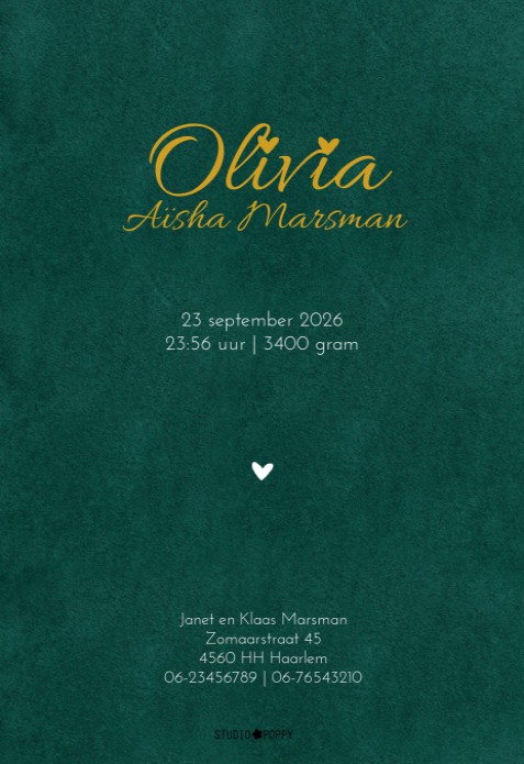 Geboortekaartje velvet look met folie geeft een heel veel warmte aan jullie geboortekaartje. Velours is in verschillende tinten te selecteren voor jouw favoriete look. Klassieke en strakke look met de luxe van folie. Maak eens een proefkaartje en haal jou