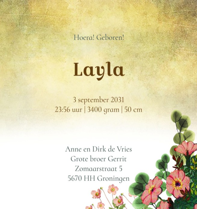 Geboortekaartje retro vintage met wiegje in het bos. De illustratie doet denken aan vroeger en heeft een retro sfeer. Een lieve baby in een mandje hangt aan de boom en de kat komt een kijkje nemen.