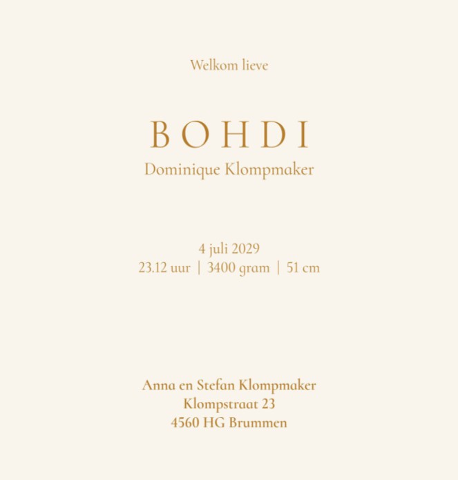 Geboortekaartje met lief vogeltje en baby op haar rug. Het kroontje op haar kop maakt het helemaal af. Letterlijk in de wolken zijn ze met maan en sterren in de lucht. Kijk eens in de beeldbank om de kaart uniek te maken.