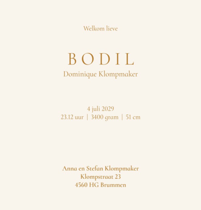 Lief geboortekaartje vogel met baby op de rug. De vogel heeft een kroontje op en er zijn wolkjes en sterren te zien.