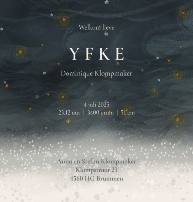 Dromerig geboortekaartje met vogels in de lucht. De maan schijnt over het besneeuwde landschap. Een geboortekaartje met de hand geschilderd voor wie niet iets standaards wil.