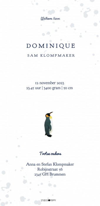 Een heel bijzonder kaartje wat je zelf kunt aanpassen zoals je dat wil. Kijk eens rond in de beeldbank voor allerlei bijpassende elementen. Met de ontwerptool kun je jouw hippe geboortekaartje ontwerpen zoals jij dat wil. Vraag eens een proefdruk aan.