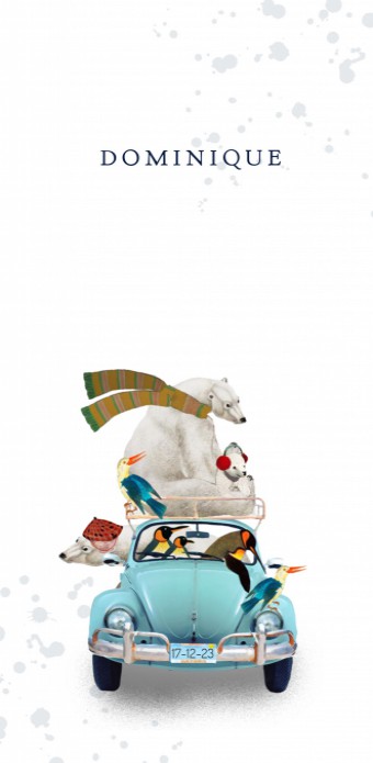 Geboortekaartje volkswagen ijsbeer en pinguin