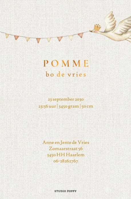 Geboortekaartje met ooievaar en vlaggenlijn. Rustig en sereen geboortekaartje in zachte kleuren. De wolken en sterretjes maken de vogel in de lucht helemaal compleet.