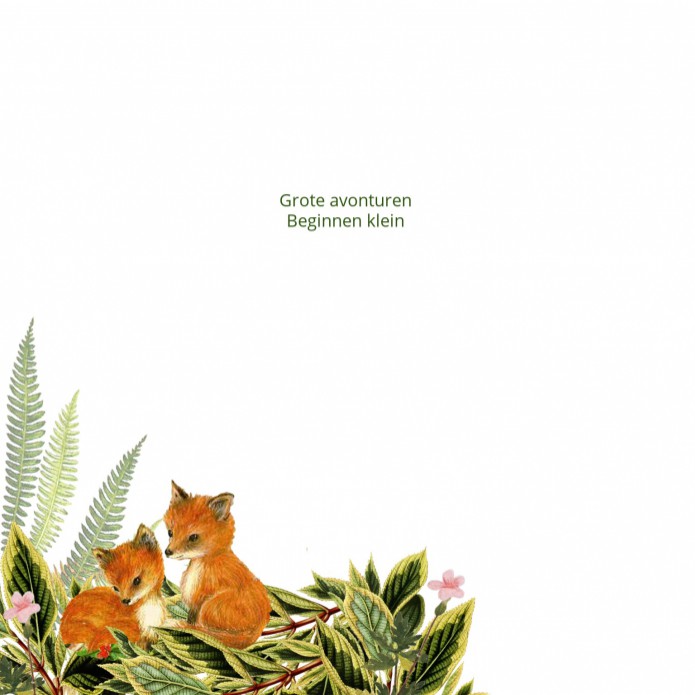 kaart binnenzijde links