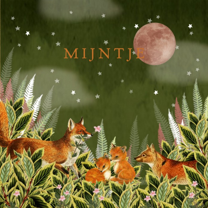 Geboortekaartje vos met maan en sterren