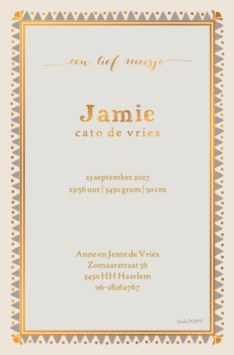 Geboortekaartje met baby in mozeswiegje. Het kindje houdt een knuffel vast en ligt op een dekentje. Het mozeswiegje met baby is een lief geboortekaartje in prachtige serene kleuren. Illustratief en hip geboortekaartje. Vraag eens de proefdruk aan.