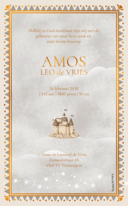 Een heel stijlvol geboortekaartje met walvis met foliedruk. Het illustratieve kader is echt een toevoeging op het kaartje en vormt een soort lijstje om de walvis illustratie heen. Het luchtkasteel, wolken en sterken vormen een dromerig geboortekaartje waa