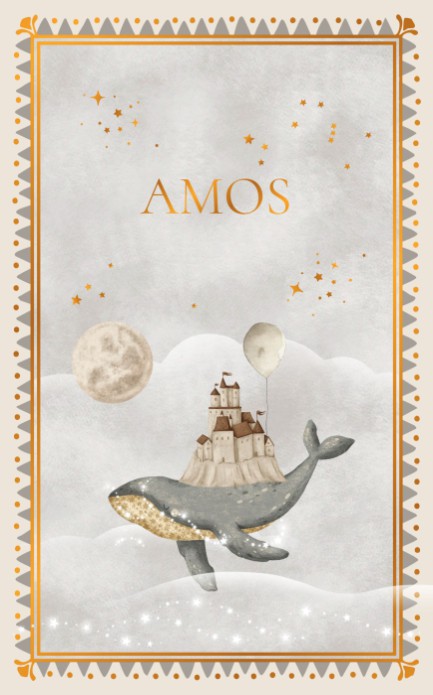 Een heel stijlvol geboortekaartje met walvis met foliedruk. Het illustratieve kader is echt een toevoeging op het kaartje en vormt een soort lijstje om de walvis illustratie heen. Het luchtkasteel, wolken en sterken vormen een dromerig geboortekaartje waa