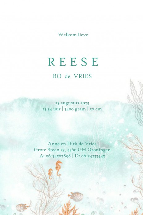 Prachtige illustratie van de onderwater wereld. Elk onderwater dier is vertegenwoordigd: de walvis, octopus, kwal, vis, schildpad en zeepaardje. Een spektakel om te zien en gezellig avontuurlijk geboortekaartje. De zee met al zijn planten en koralen. Vraa