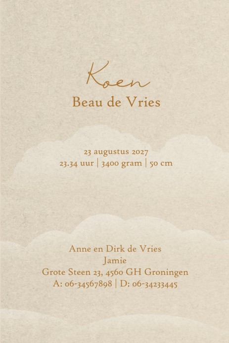 Volgens de laatste trends dit geboortekaartje vol avontuur. Vraag eens een proefdruk aan om het kaartje met eigen ogen te bewonderen. Een droom wereld illustratief voor jullie geboortekaartje. De sterren fonkelen in de lucht en de walvis zeilt voorbij doo