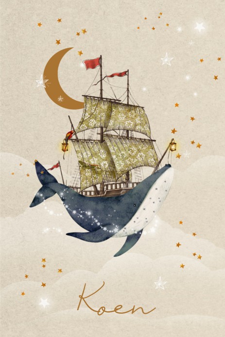 Geboortekaartje walvis schip