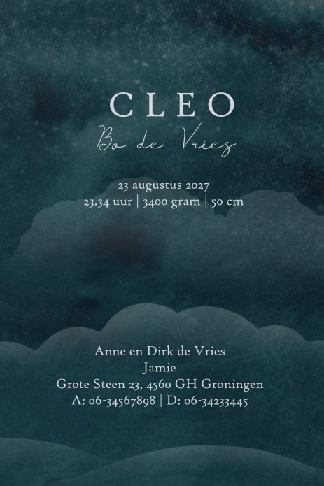 Een sprookjesachtig geboortekaartje met wolken en een walvis die als een zeilschip door de lucht vliegt. Geboortekaartje illustratief in de nacht met sterren en maan.