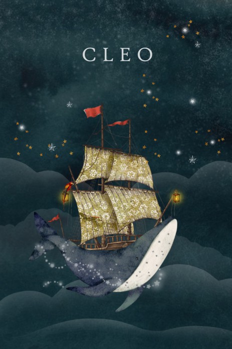 Geboortekaartje walvis schip