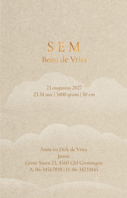 Geboortekaartje met walvis tussen de wolken. Een dromerig geboortekaartje met walvis als zeilschip dat in de lucht vaart tussen de sterren en maan.