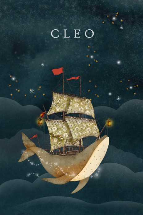 Geboortekaartje walvis schip