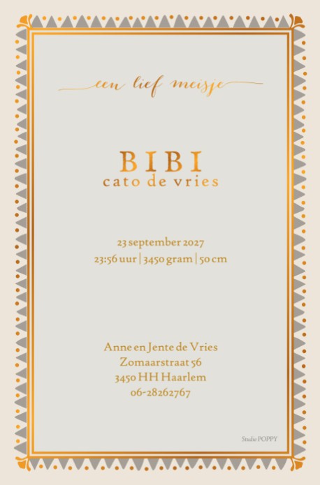 Een illustratief geboortekaartje met walvis in de wolken. Decoratief en in elke kleur te veranderen die je maar wil. Een geboortekaartje waar aandacht aan besteed is en dat kun je zien! Vraag eens een proefdruk aan om de kwaliteit zelf te beoordelen.