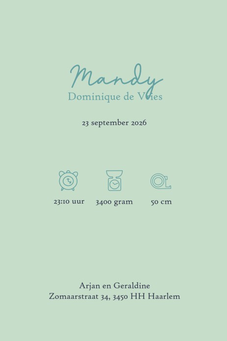 Geboortekaartje met handgetekende bloemen die je zelf kunt rangschikken. Bonte kleuren maken het een vrolijk en illustratief geboortekaartje om te bewaren. Kijk eens naar andere bloemen geboortekaartjes, keuze genoeg!