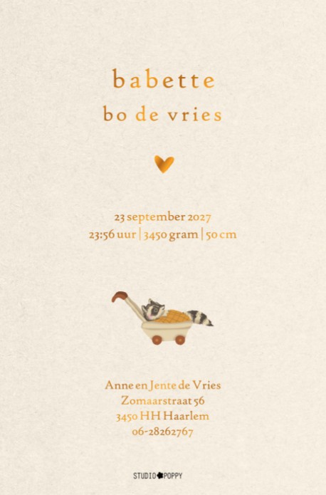 Geboortekaartje met handgetekende wasbeertjes. Illustratie met wandelwagentje voor een uniek geboortekaartje. Vraag eens de gratis proefdruk aan.