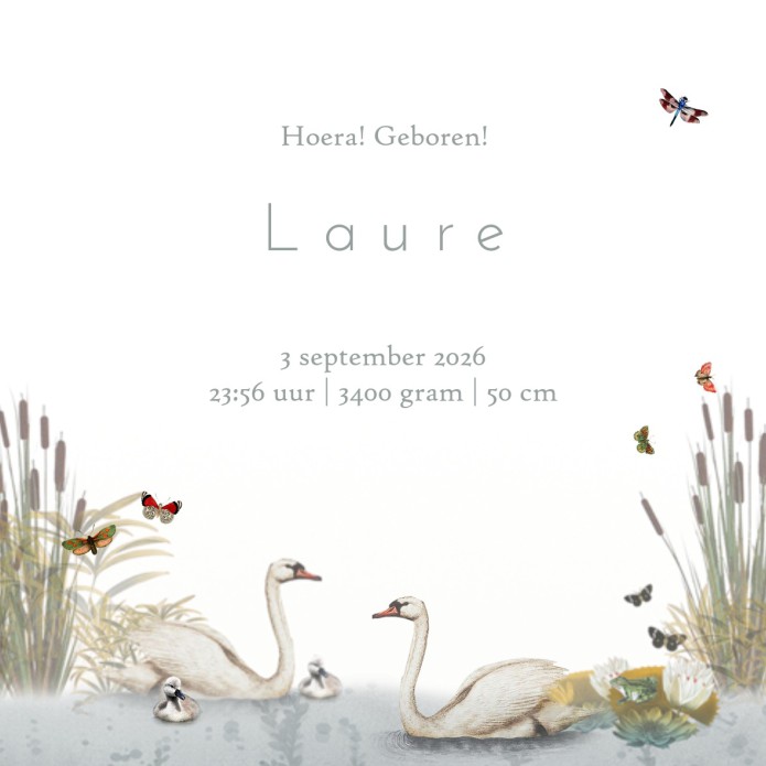 kaart binnenzijde rechts