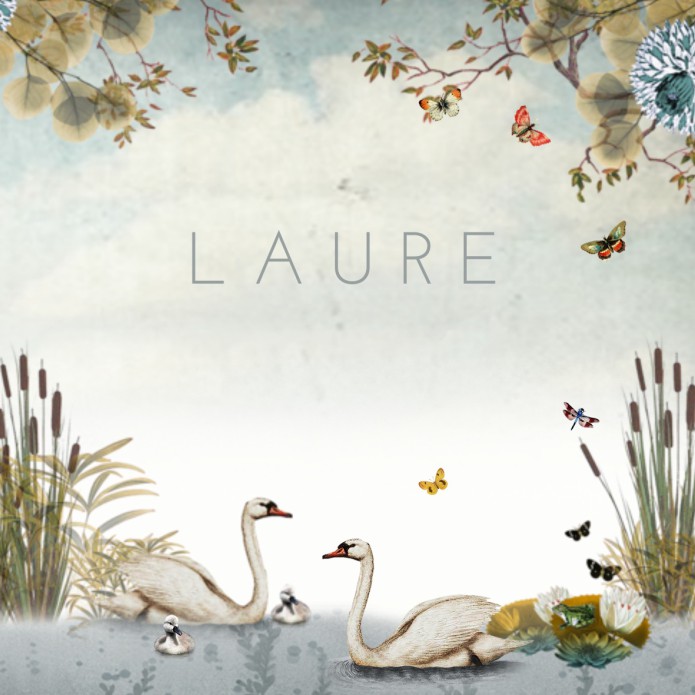 Geboortekaartje water met zwaantjes familie