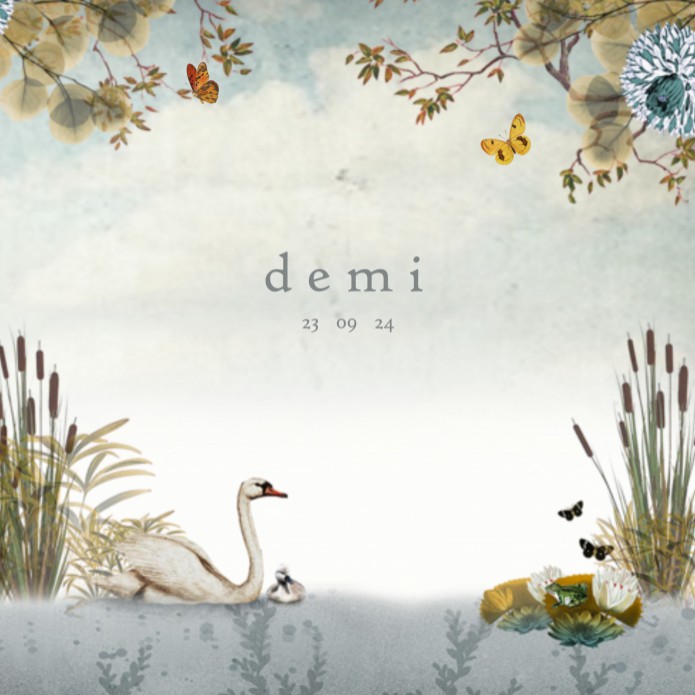 Geboortekaartje water met zwaantjes en schildpadden