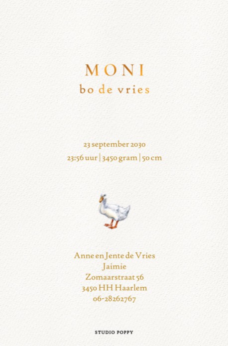 Geboortekaartje met watercolor eenden. Moeder eend met twee kleine eendjes in waterverf voor jullie pasgeboren kindje. Dit watercolor geboortekaartje met eend is een bijzonder kaartje dat nog naar wens aan te passen is.