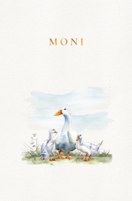 Geboortekaartje met watercolor eenden. Moeder eend met twee kleine eendjes in waterverf voor jullie pasgeboren kindje. Dit watercolor geboortekaartje met eend is een bijzonder kaartje dat nog naar wens aan te passen is.